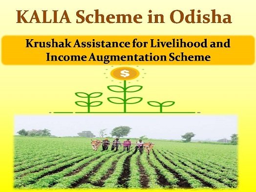 kalia scheme odisha new list