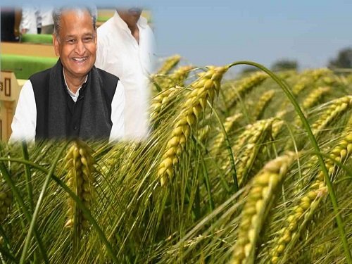 Rajasthan free fertilizer seed yojana